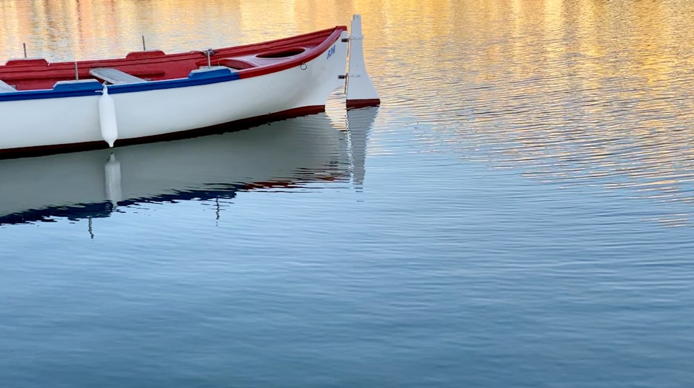 bateau blanc et rouge sur plan d’eau pendant la journée