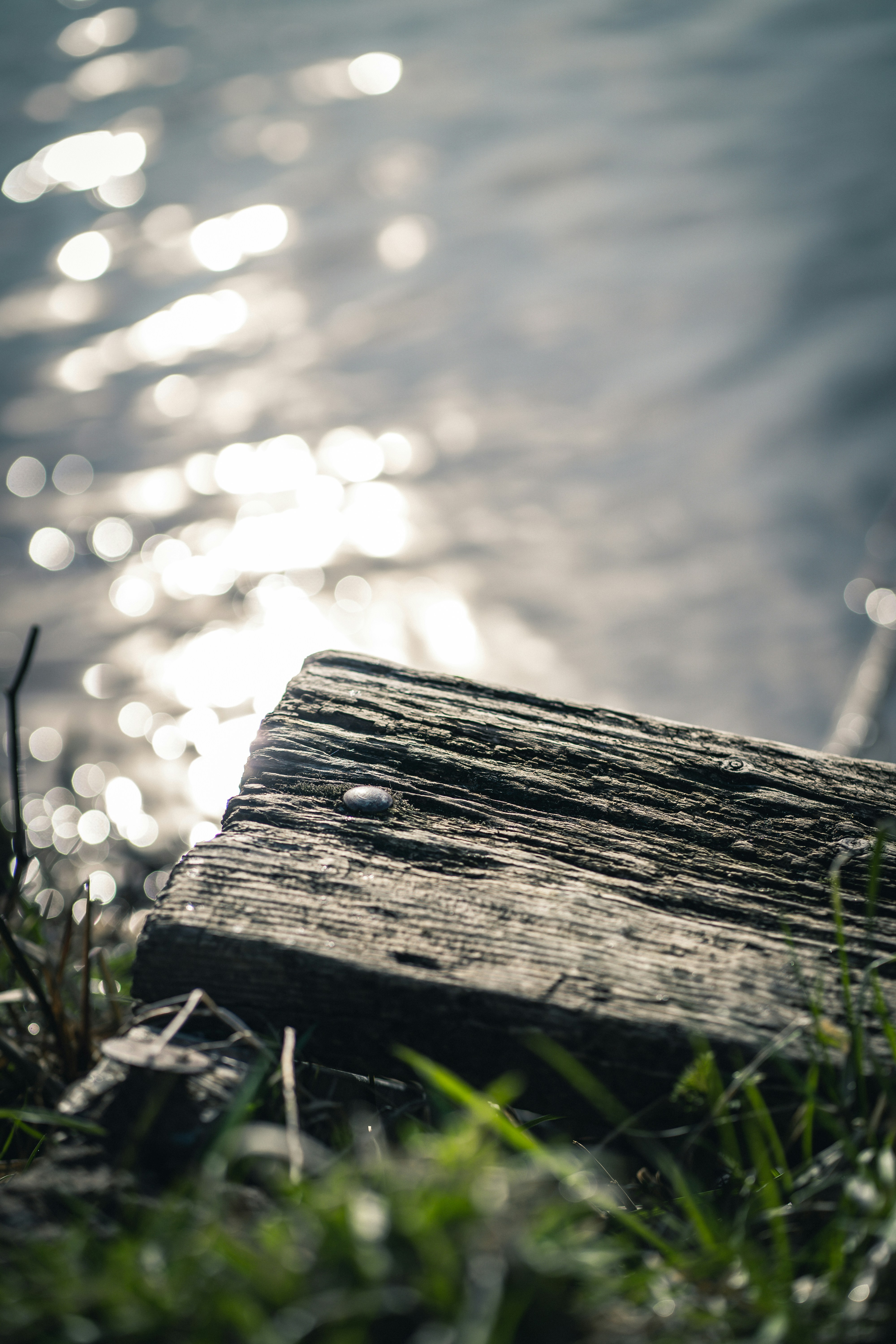 Photo by dominik_kempf