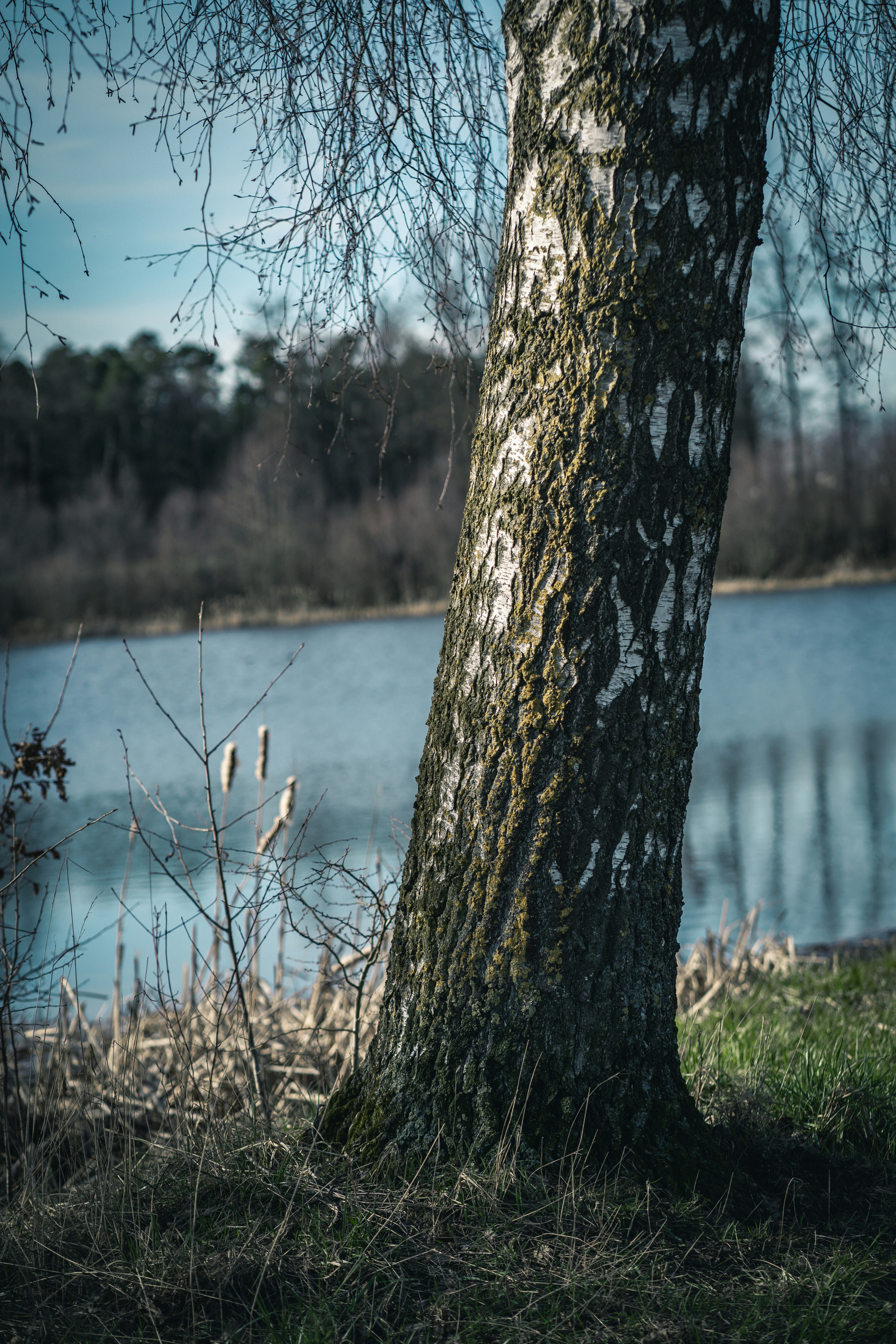 Photo by dominik_kempf