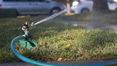green and black plastic toy on green plastic container