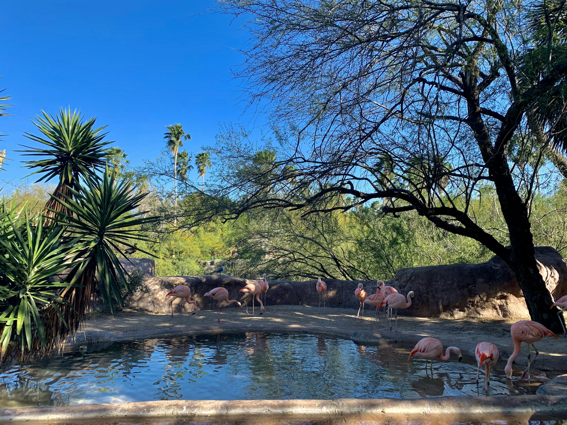 gray computer monitor