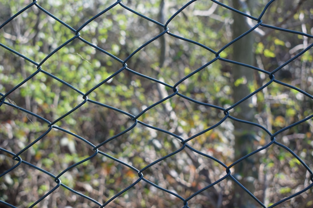 grey metal chain link fence