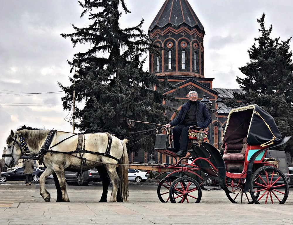 man in black coat riding on white horse