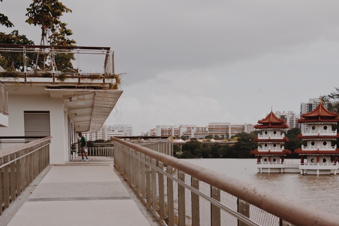 Bridge photo spot Jurong Lake Gardens Jewel Changi Airport