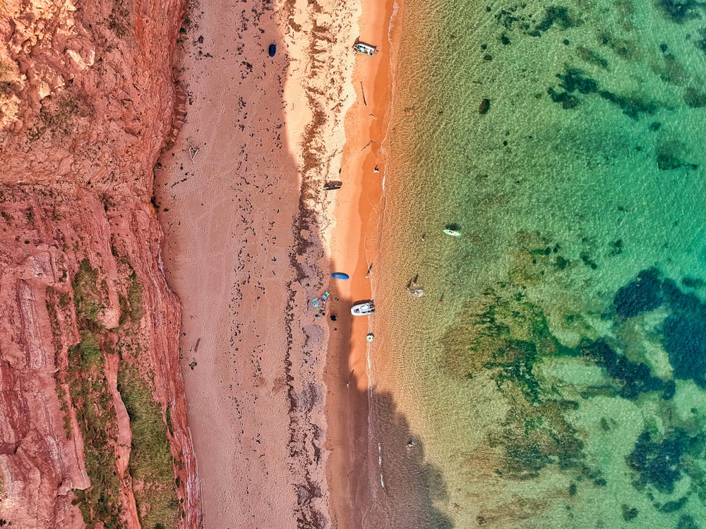 aerial view of people on beach during daytime