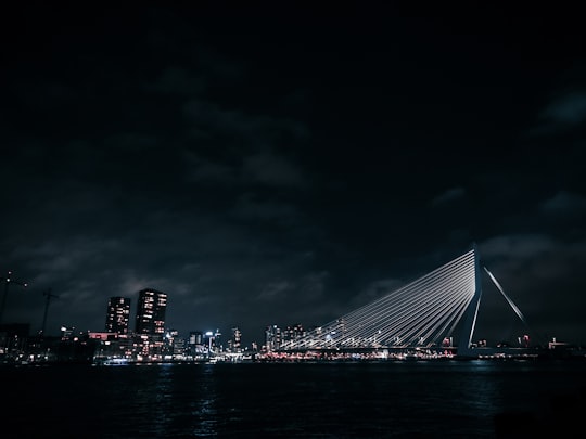 grayscale photo of bridge over body of water in LantarenVenster Netherlands