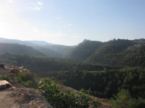 A panoramic view of a lush green plot ready for development under a clear blue sky