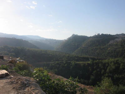 A panoramic view of a lush green plot ready for development under a clear blue sky.