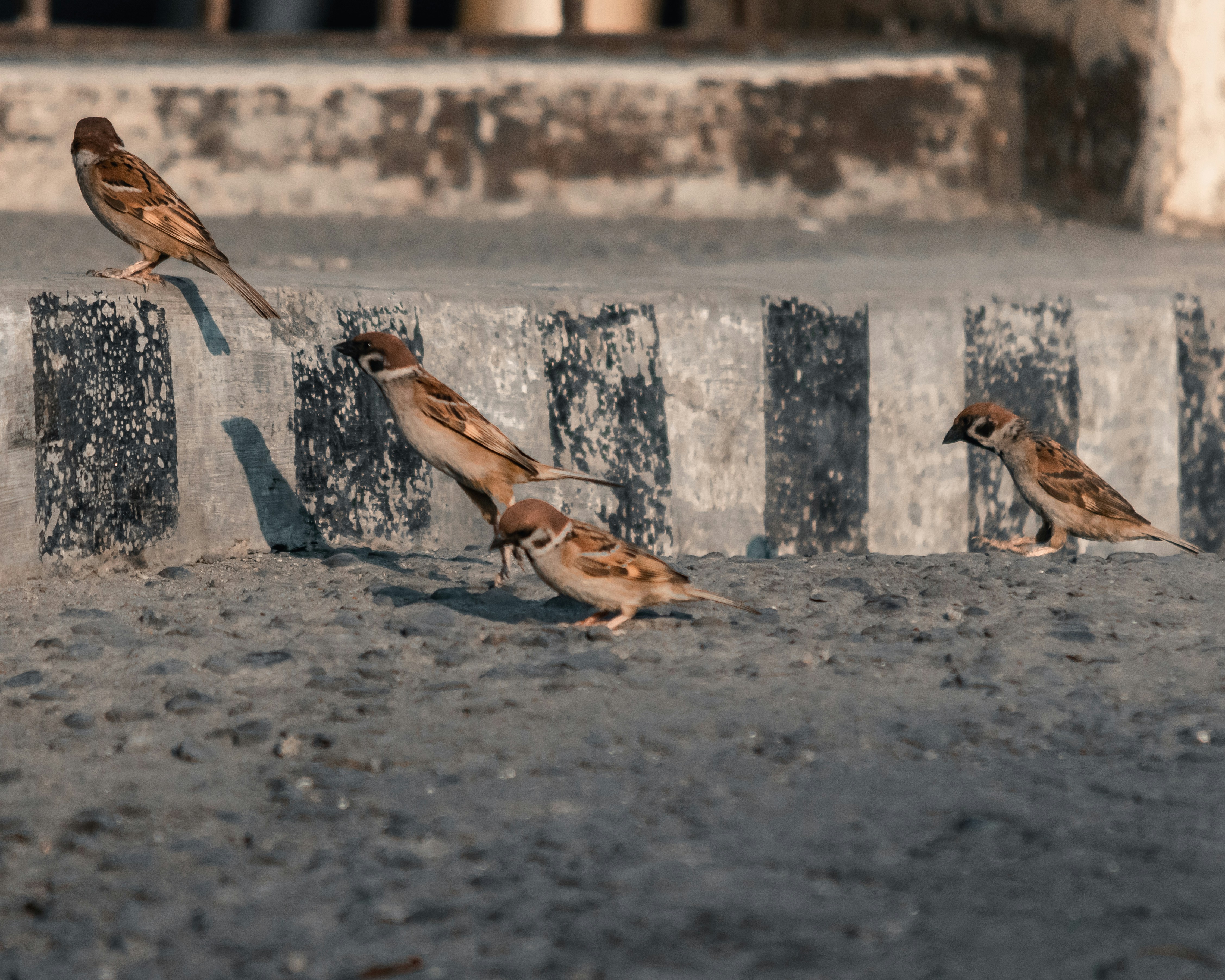 Photo by bryson_john