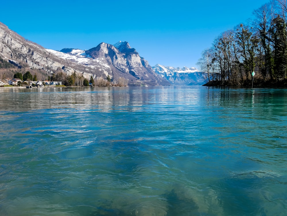 body of water near trees and mountain during daytime