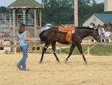 Students engaging in hands-on therapy session with horses outdoors