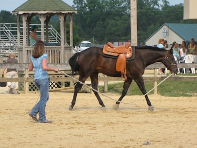 A person is leading a brown horse with a saddle in a fenced area. The horse appears to be involved in a training exercise. Nearby, people are sitting in a wooden gazebo and others are standing around. The scene has a rural, outdoor setting.
