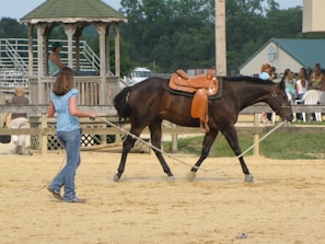 A person is leading a brown horse with a saddle in a fenced area. The horse appears to be involved in a training exercise. Nearby, people are sitting in a wooden gazebo and others are standing around. The scene has a rural, outdoor setting.