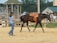 A person is leading a brown horse with a saddle in a fenced area. The horse appears to be involved in a training exercise. Nearby, people are sitting in a wooden gazebo and others are standing around. The scene has a rural, outdoor setting.