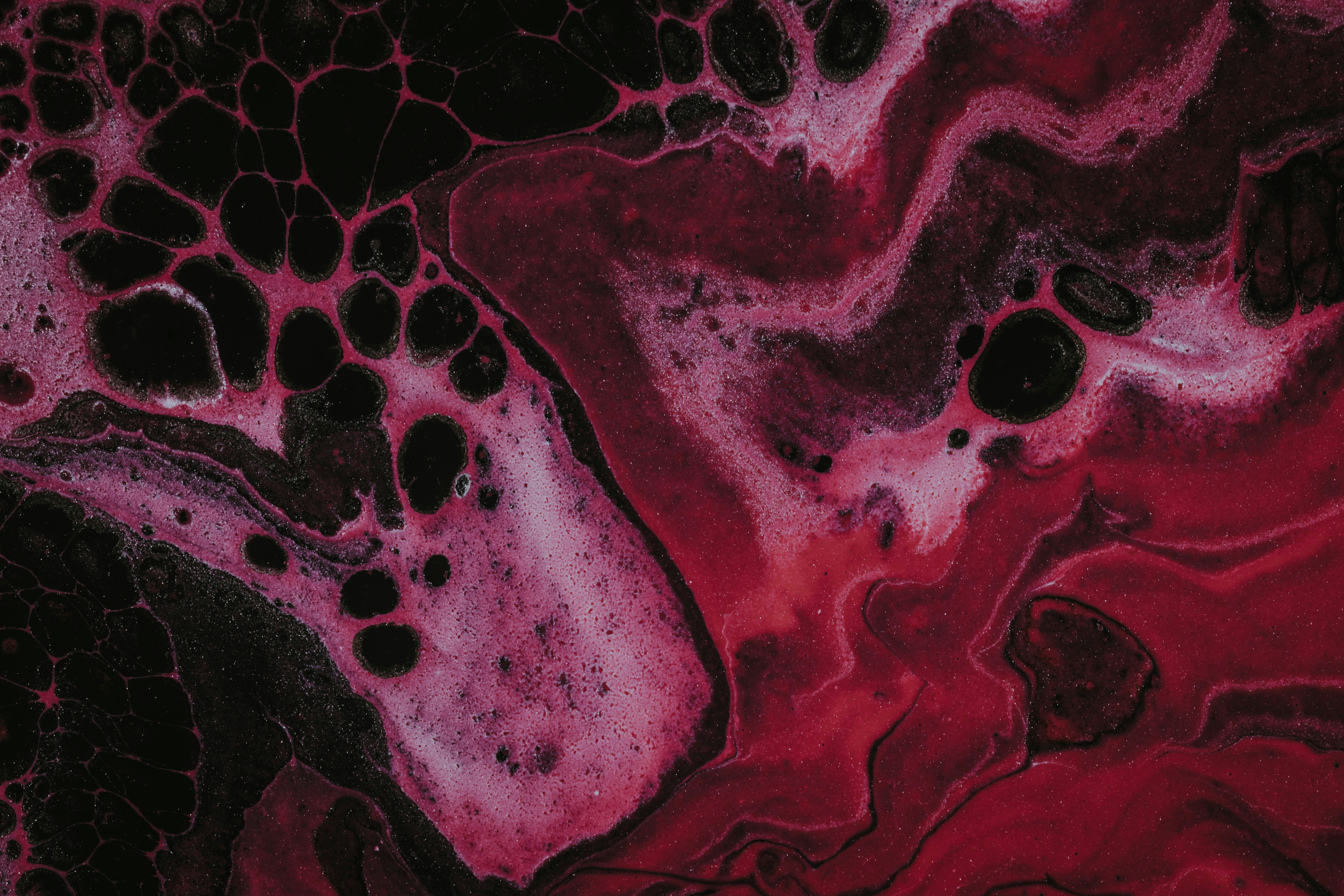 Photo by pawel_czerwinski