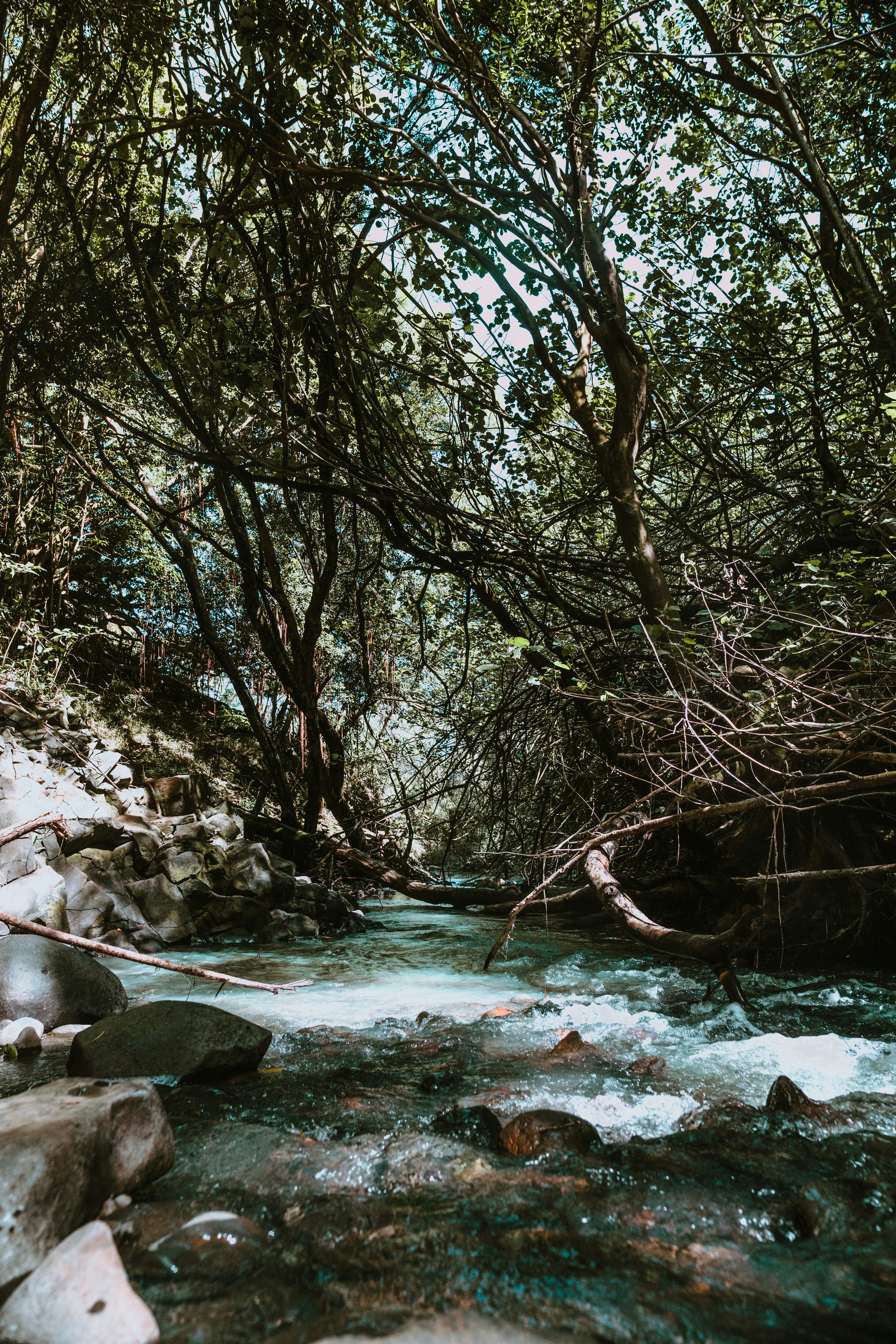 Photo by priddellprod