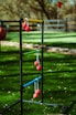 red and green metal frame on green grass field during daytime