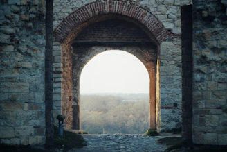 brown brick arch near body of water during daytime