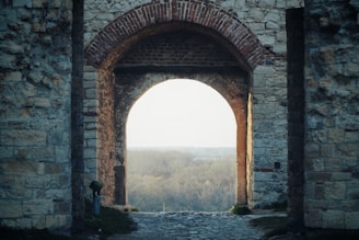 brown brick arch near body of water during daytime