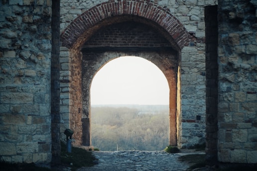 brown brick arch near body of water during daytime