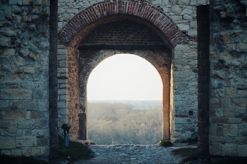 brown brick arch near body of water during daytime