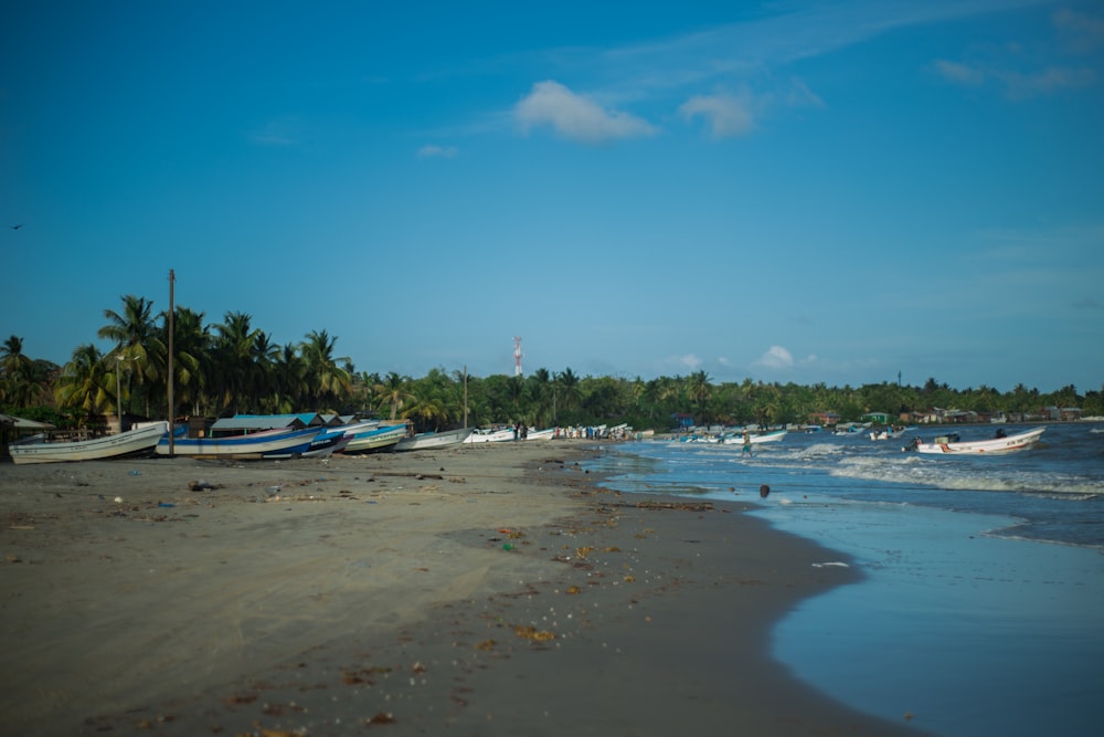 people on beach during daytime