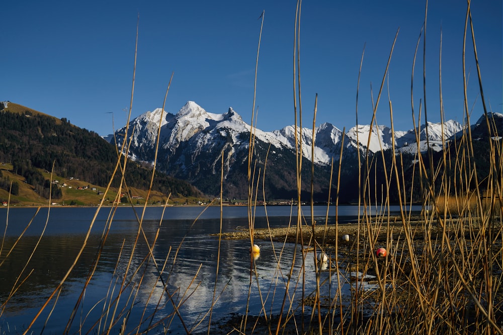 body of water near mountain under blue sky during daytime