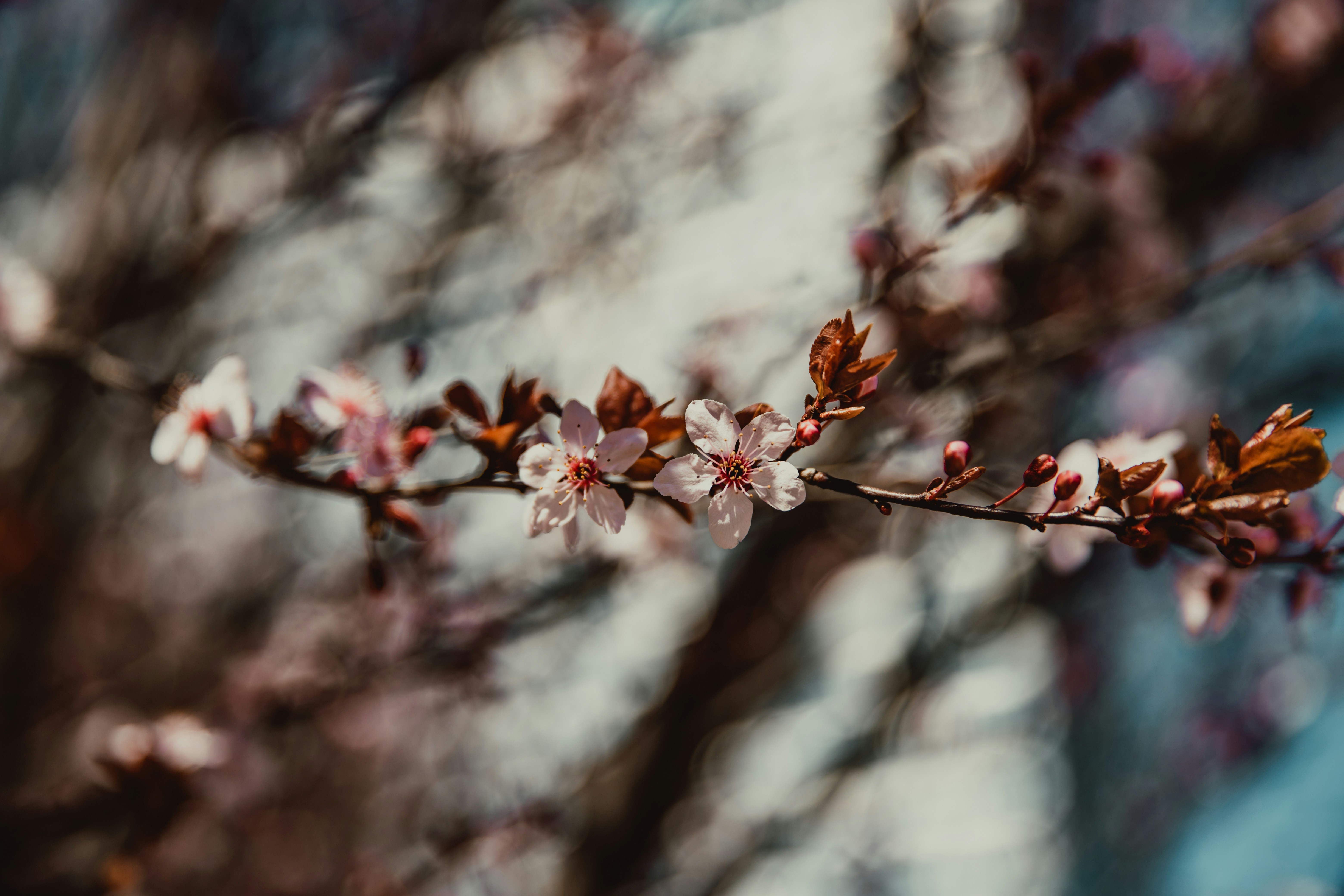 Photo by ymoran