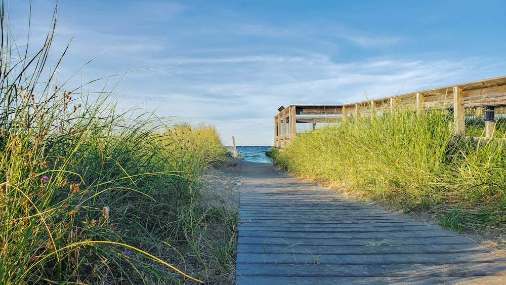 brown wooden pathway between green grass field under blue sky during daytime