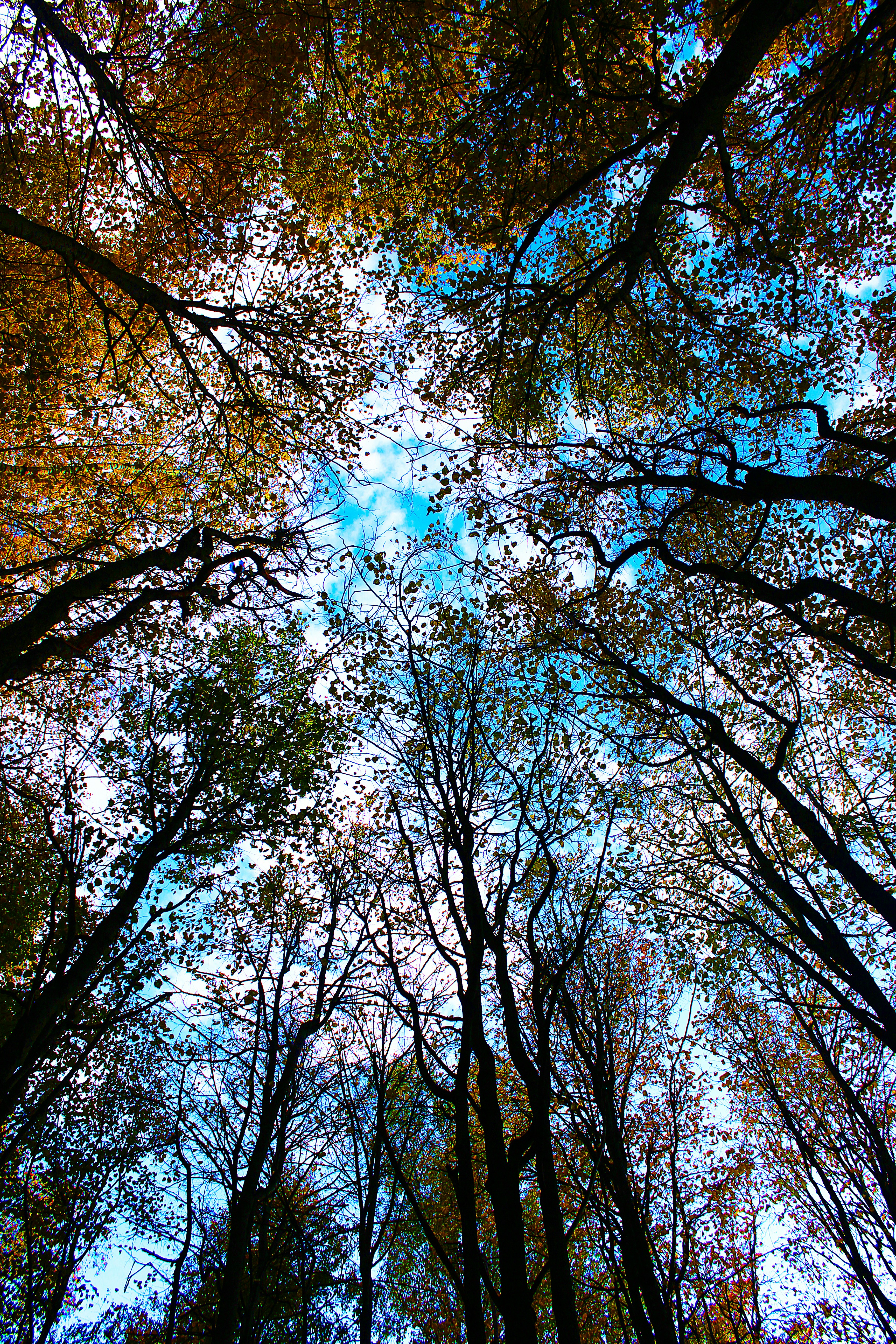 Photo by knyaginyaanna