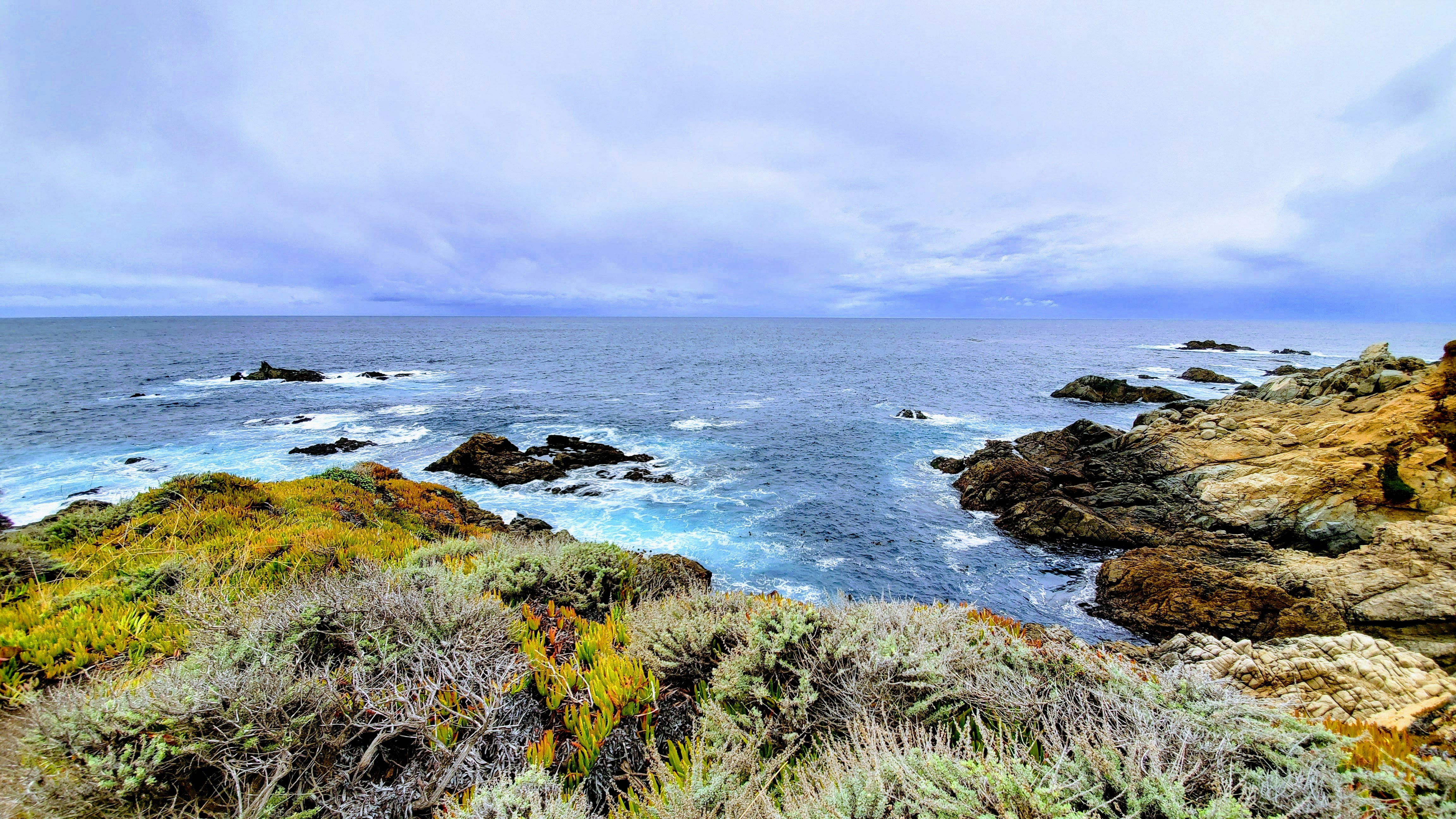 Photo by srikanth262