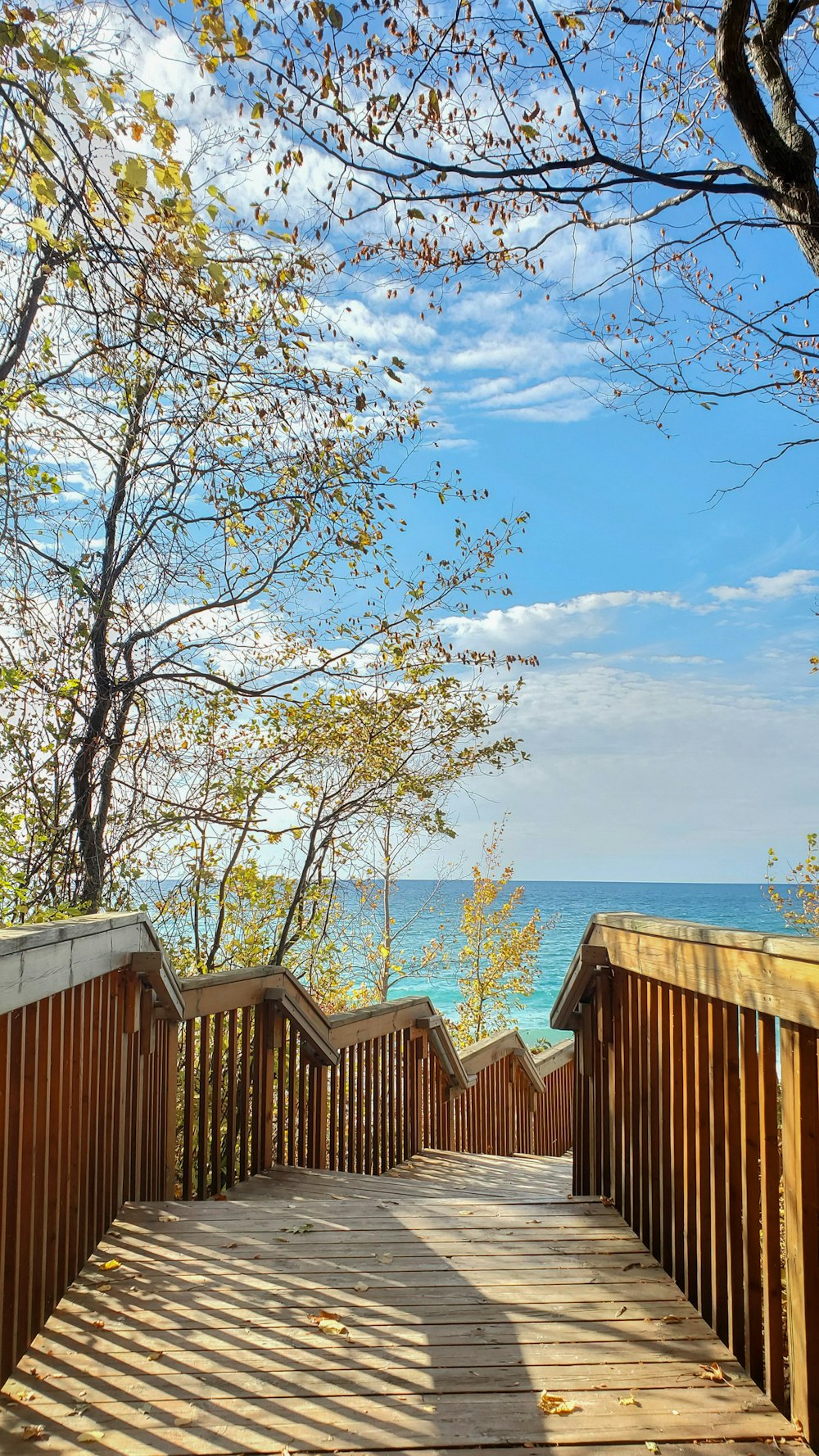 brown wooden fence near green trees under blue sky during daytime