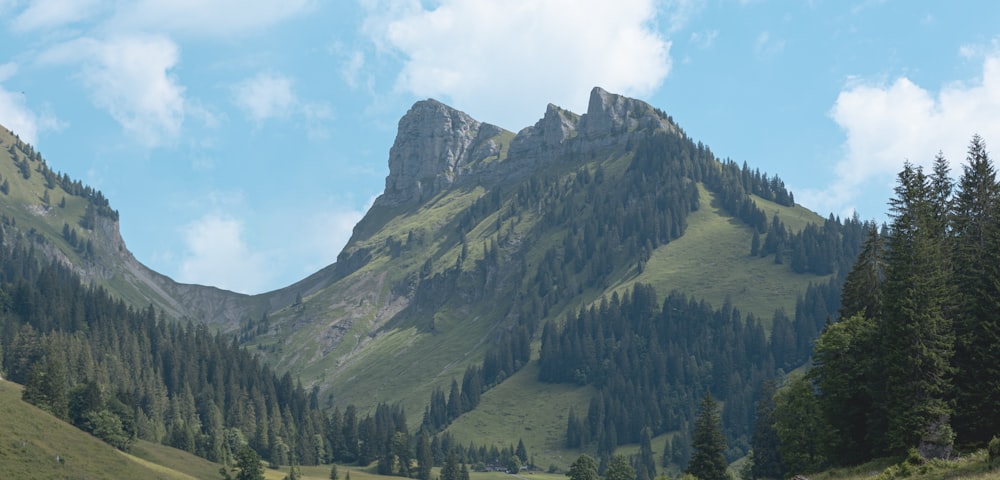 green trees on mountain under white clouds during daytime