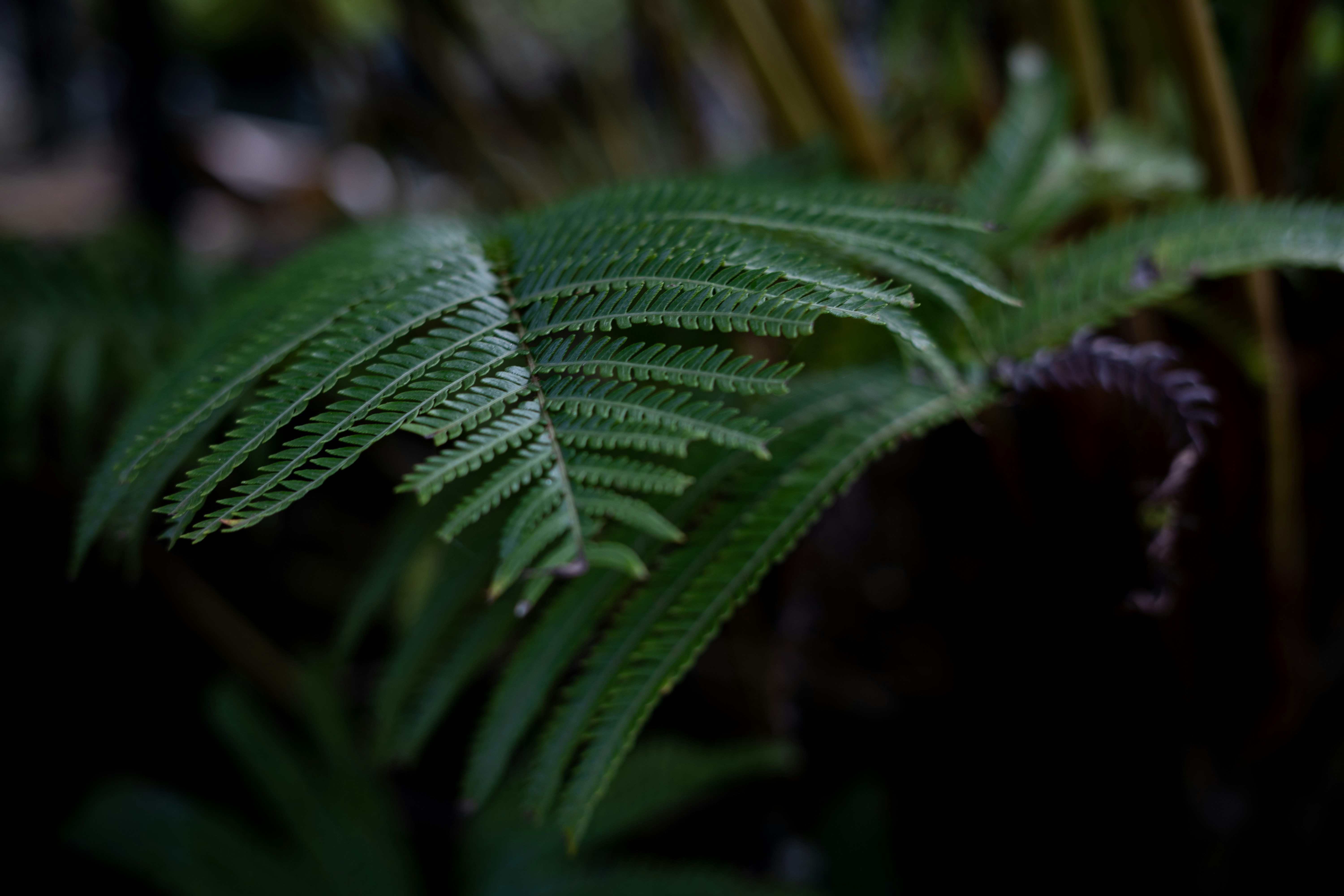 Photo by alexgoesglobal