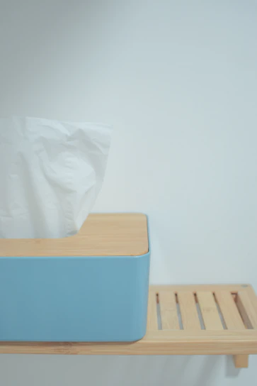 A minimalistic setup featuring a blue tissue box made of soft material, placed on a wooden shelf. The design emphasizes simplicity and modernity, with clean lines and a neutral background.