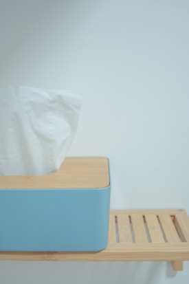 A minimalistic setup featuring a blue tissue box made of soft material, placed on a wooden shelf. The design emphasizes simplicity and modernity, with clean lines and a neutral background.