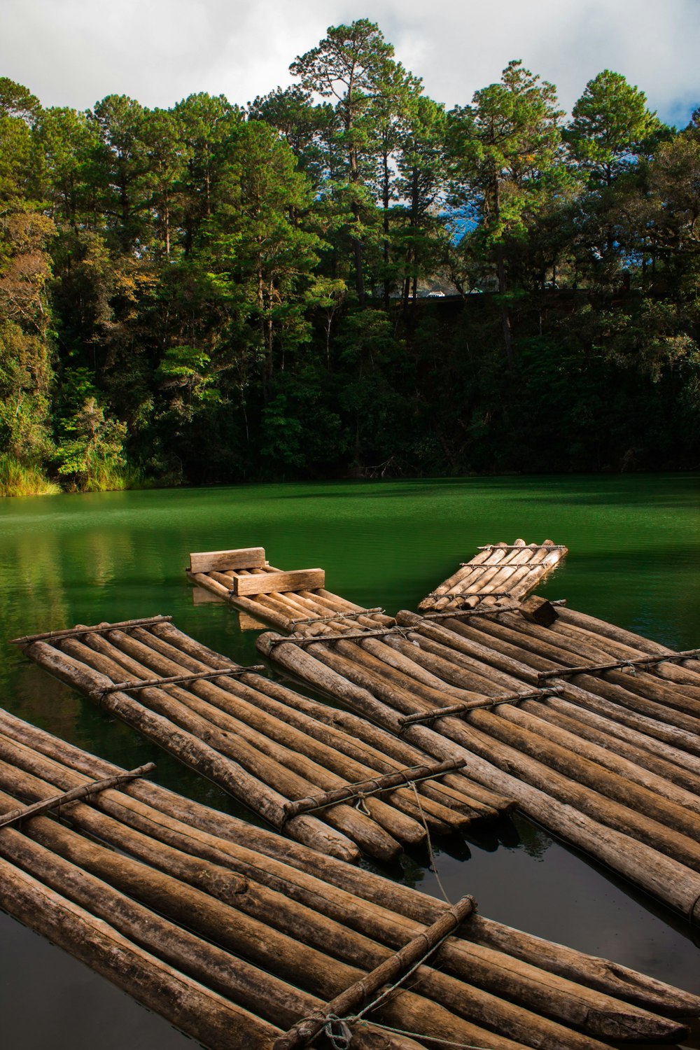 Bûche de bois brune sur un champ d’herbe verte près du lac pendant la journée