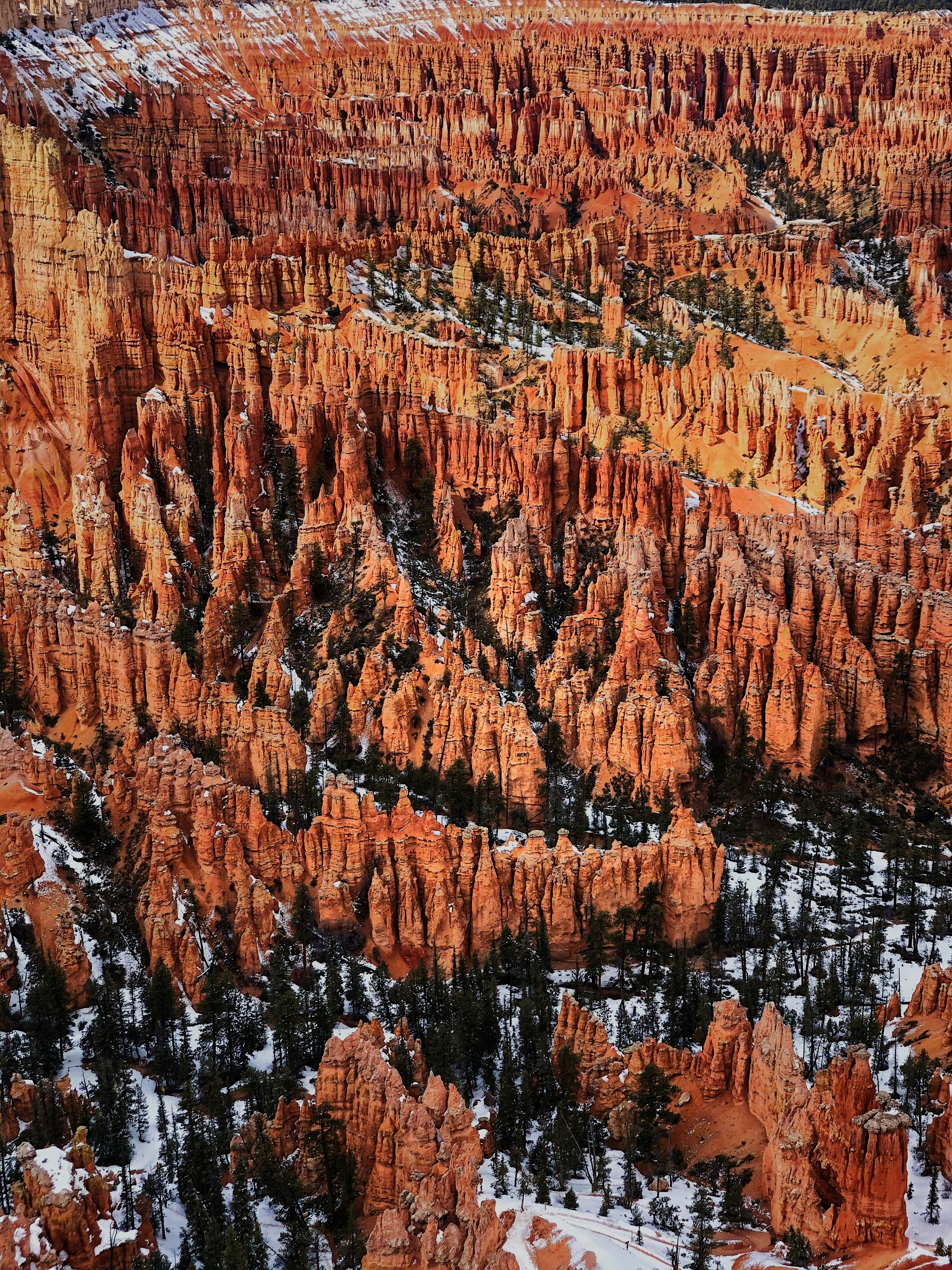 Photo by jarvisphoto