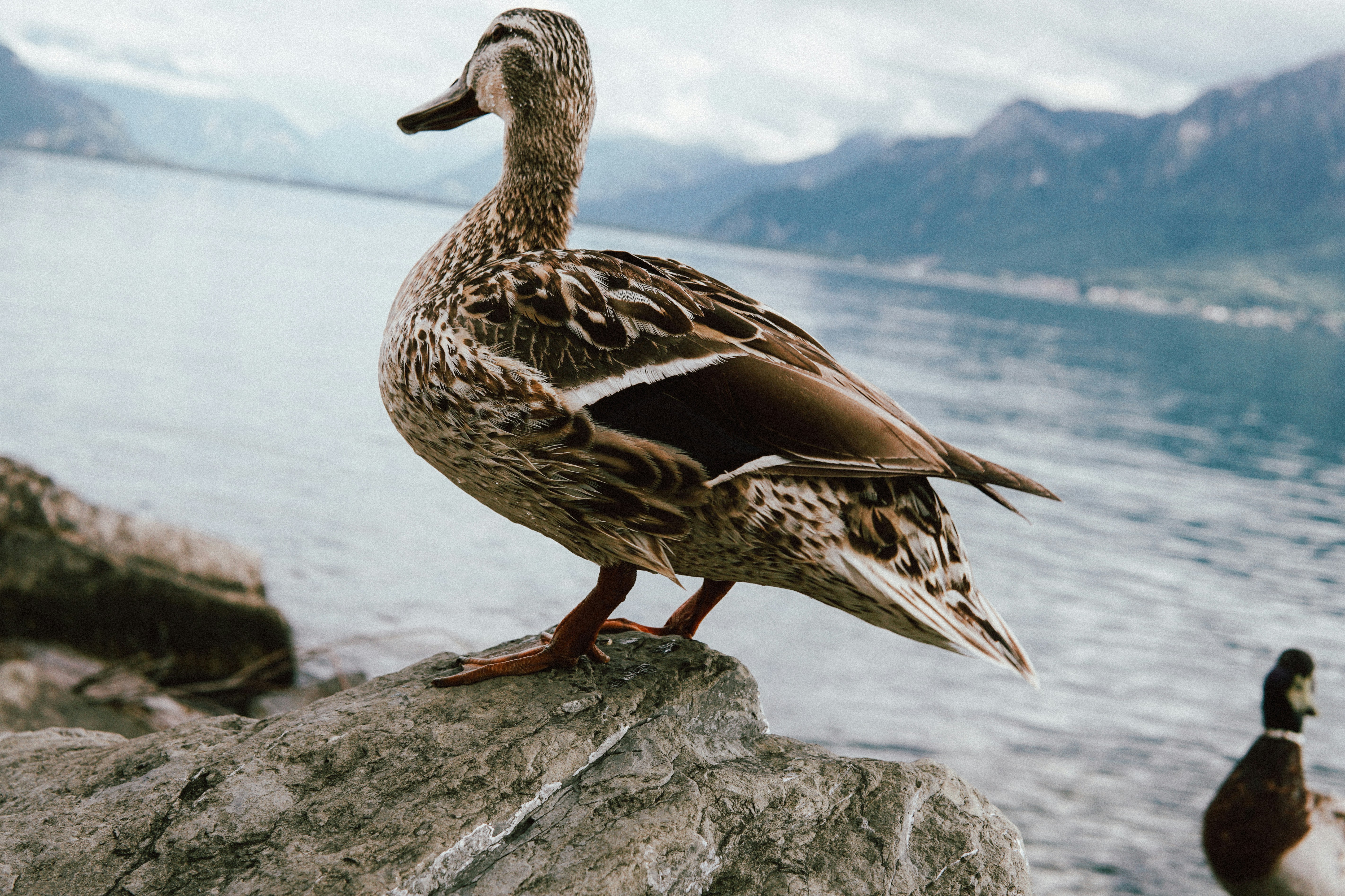 Photo by elletakesphotos