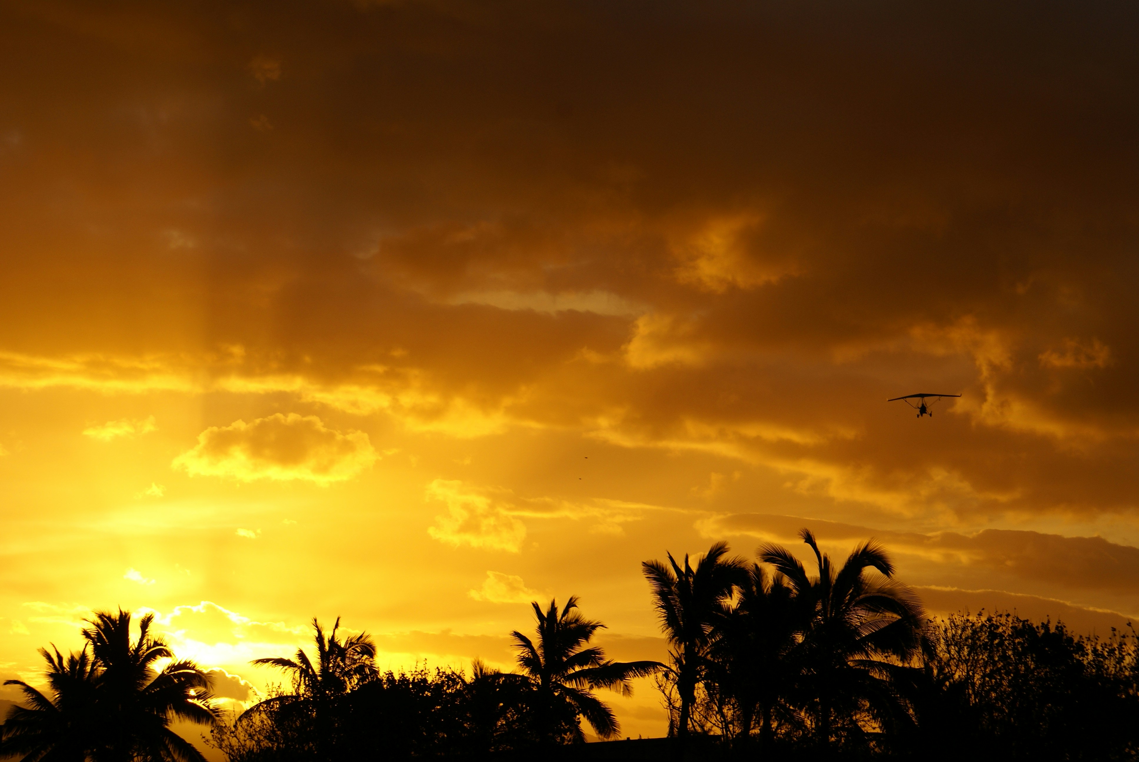 Photo by archerphotos_