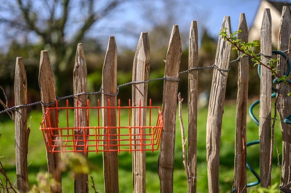 brown wooden fence with red metal fence