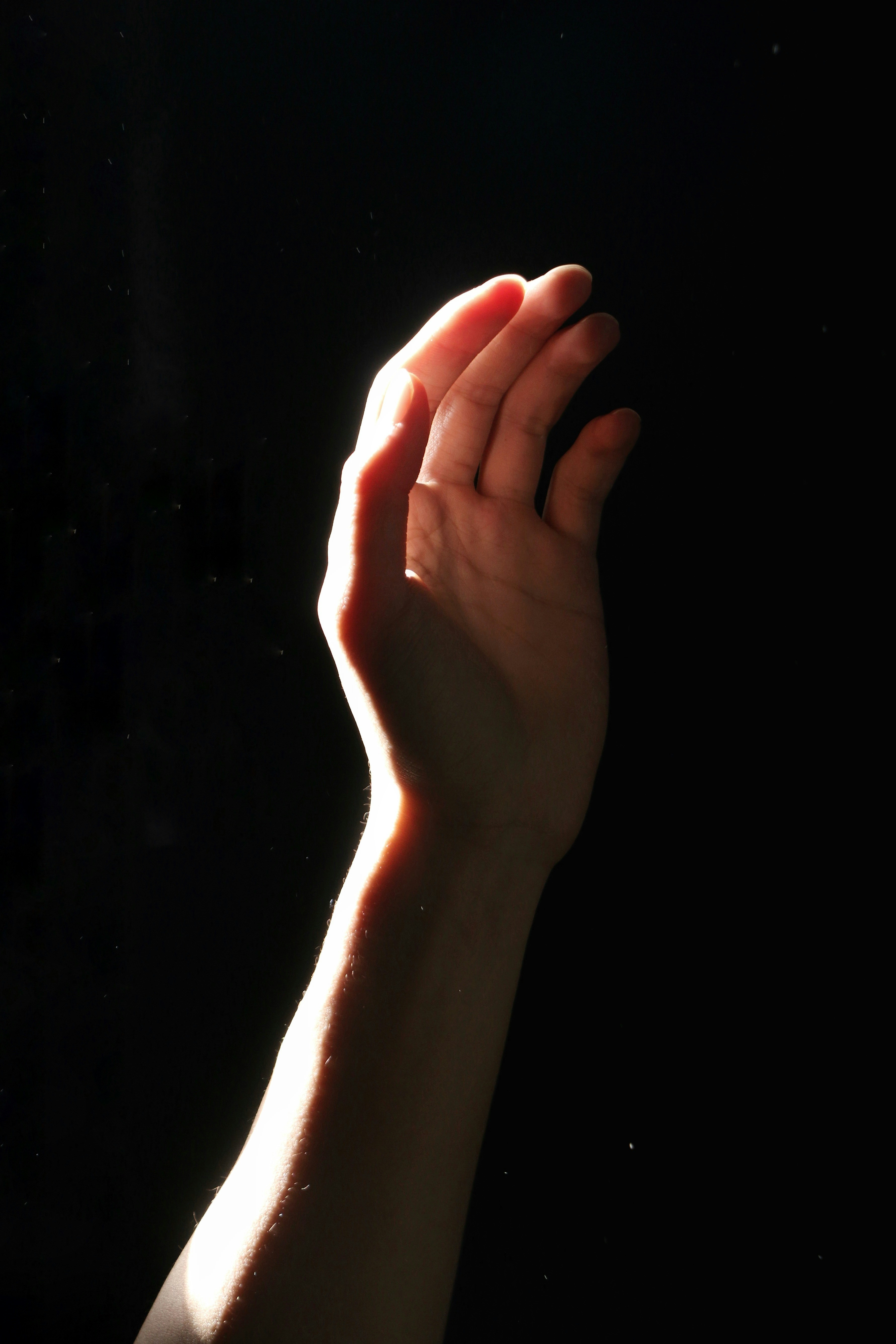 Persons Hand On Black Background Photo Free Brown Image On Unsplash