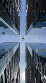 white bird flying over the city during daytime