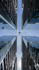 white bird flying over the city during daytime