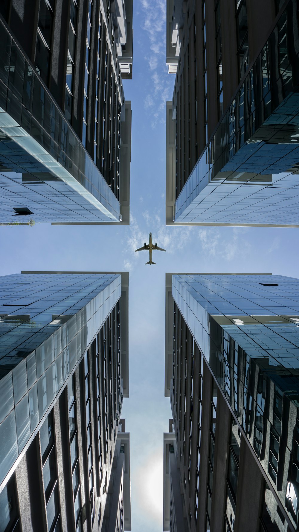 white bird flying over the city during daytime