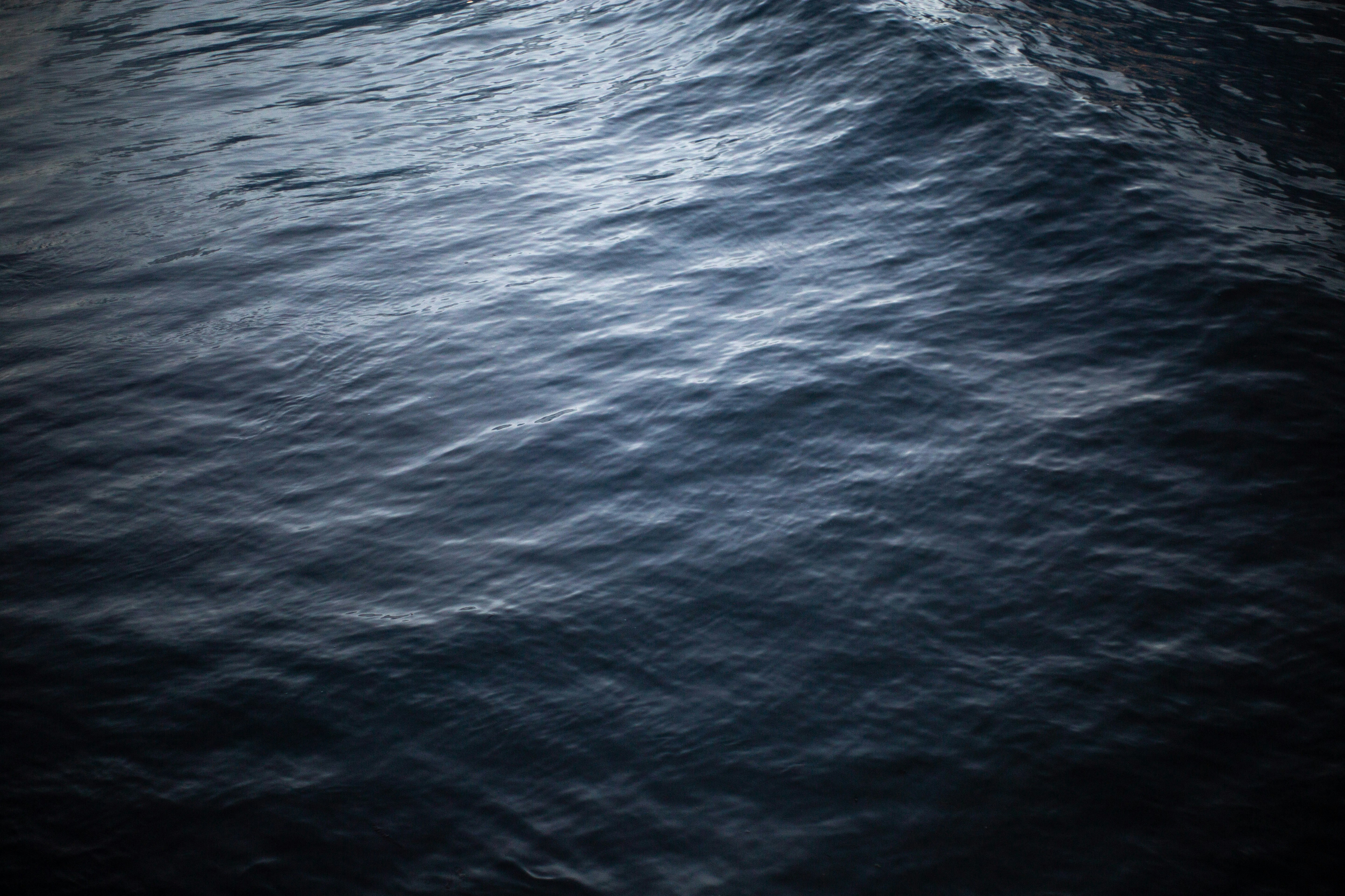 Photo by giorgiotrovato