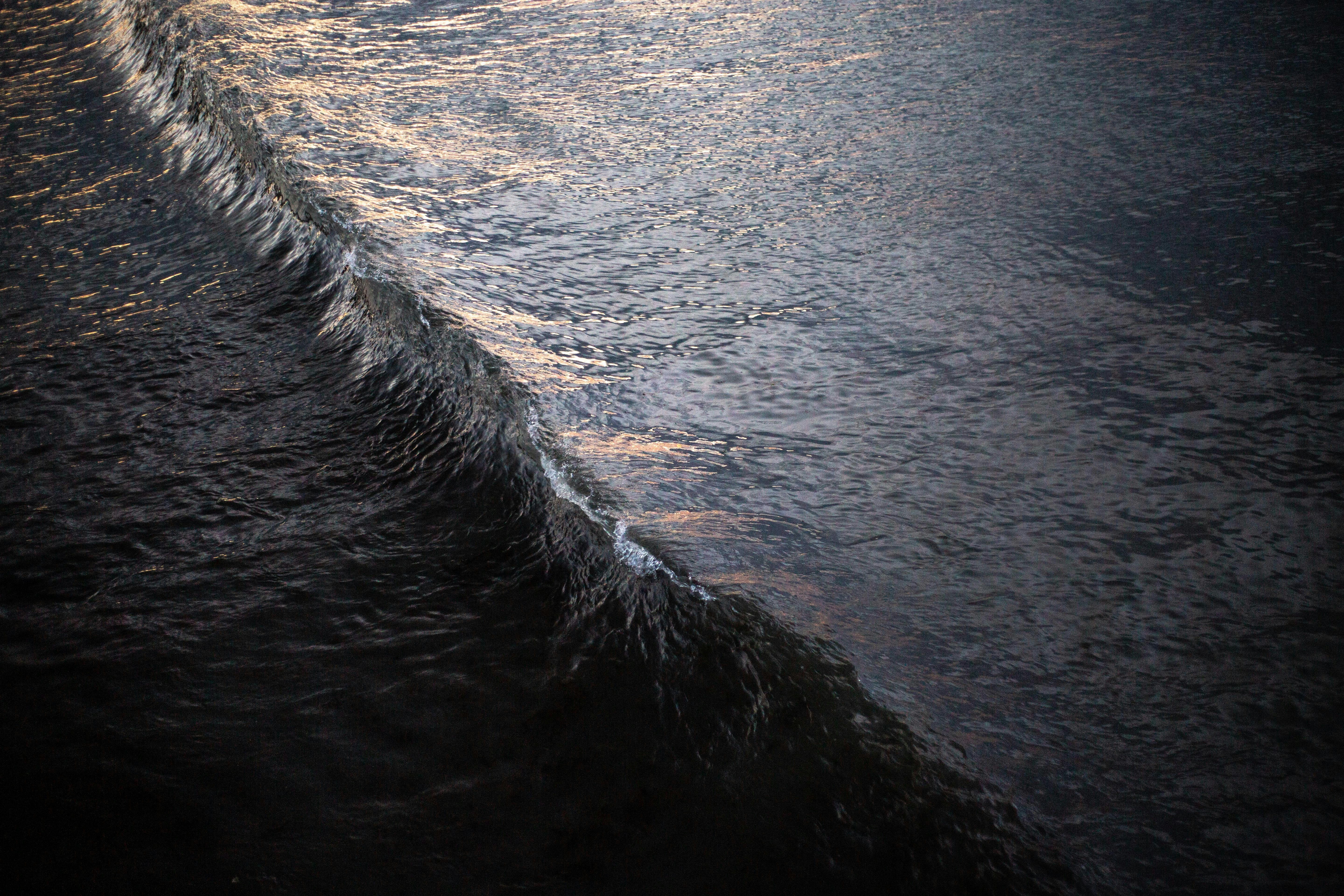 Photo by giorgiotrovato