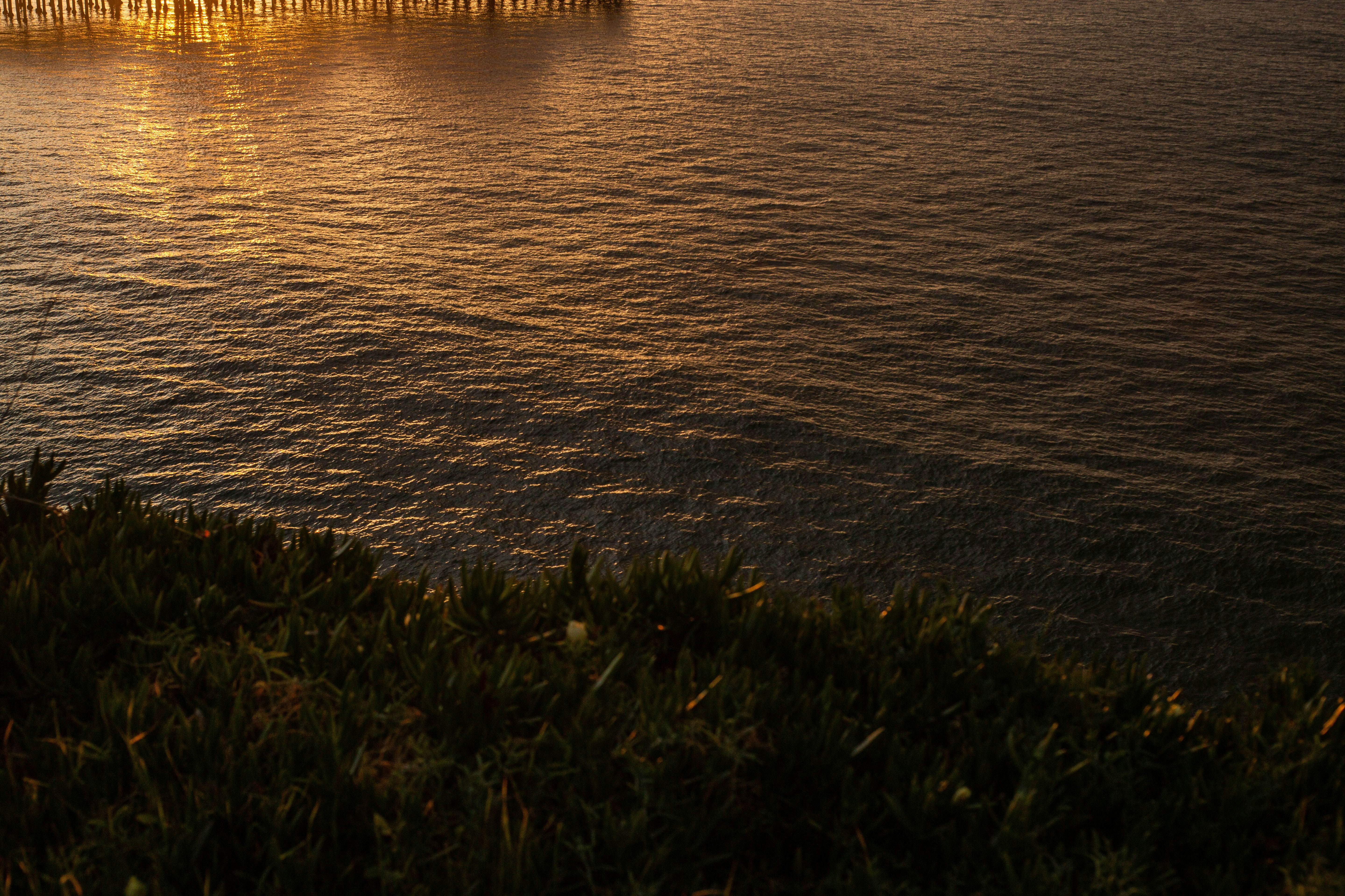 Photo by giorgiotrovato