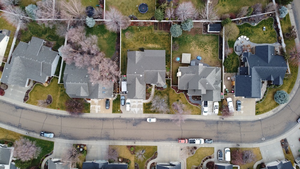 aerial view of green trees and white car