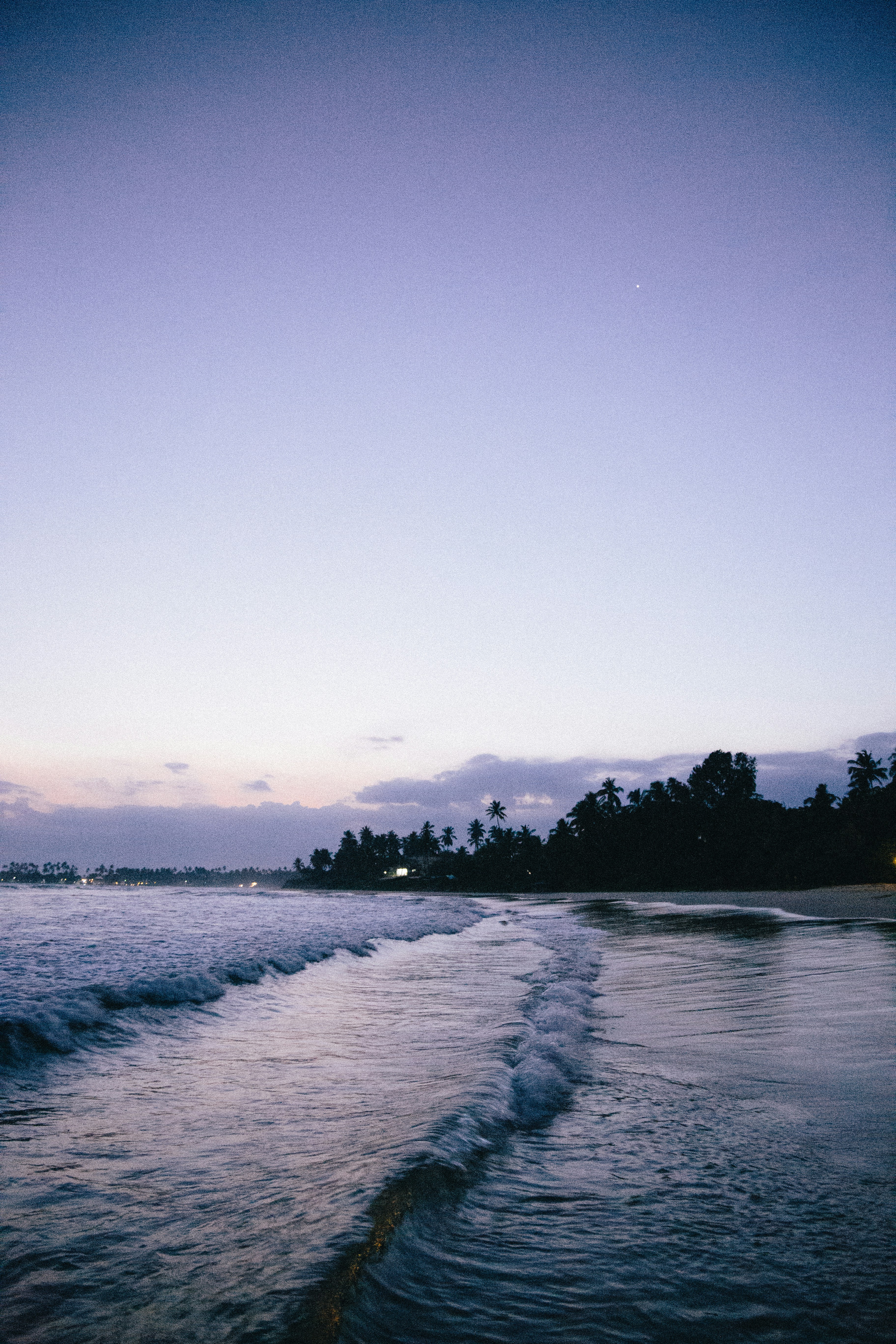 body of water near trees during daytime